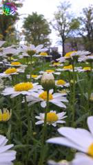 皆、待ってるよ