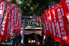 春日部稲荷大明神
