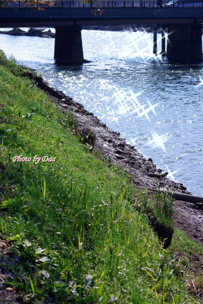 キラキラする川面