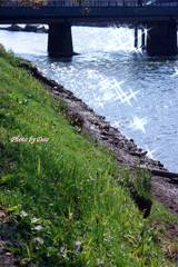 キラキラする川面