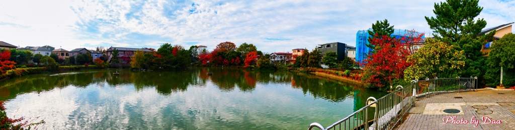 春日部大池全景