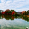 春日部大池全景