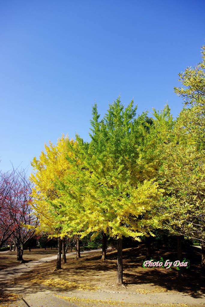 今日のお天気
