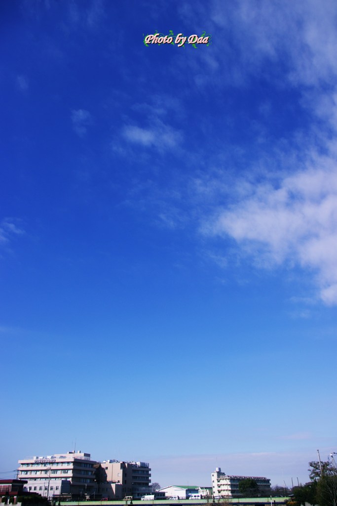 今日のお天気