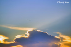 空と雲と鳥と