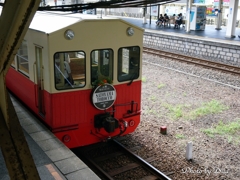 トロッコ列車後部