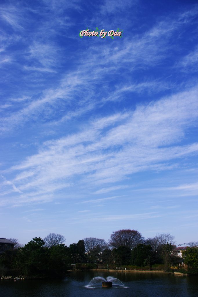 今日のお天気