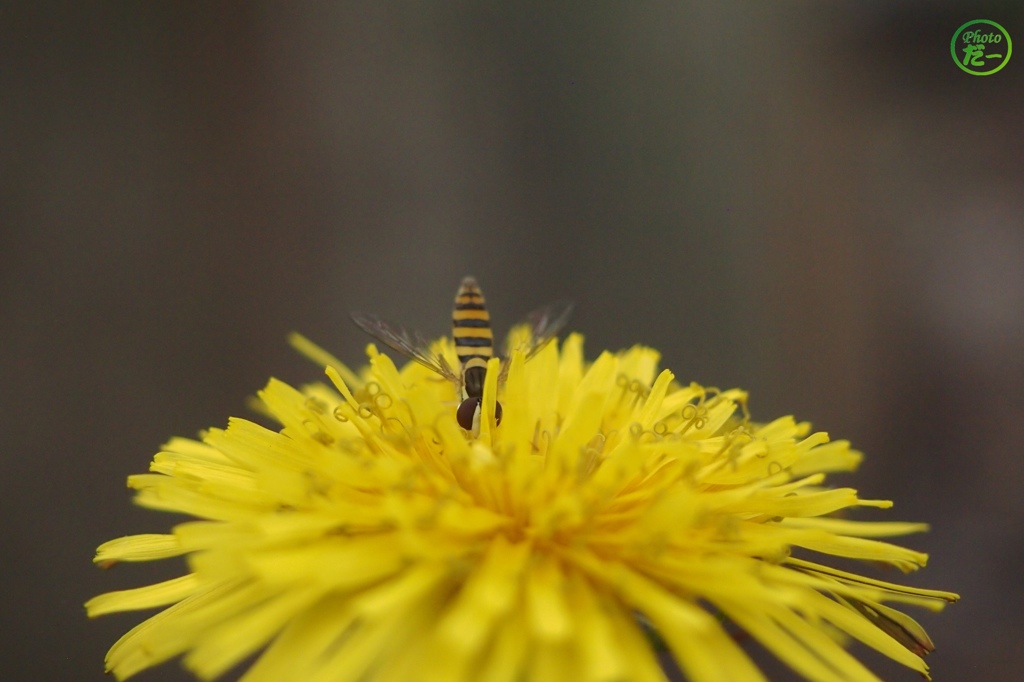 お仕事中（その２）