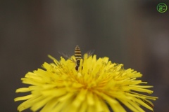 お仕事中（その２）