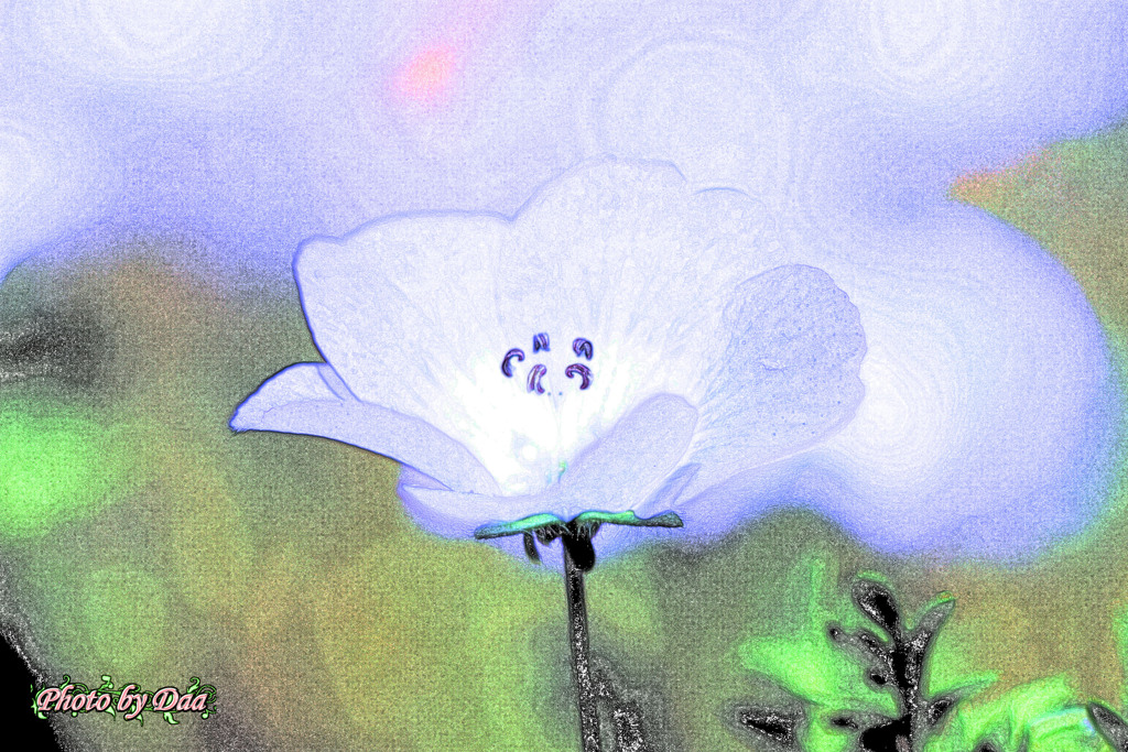 花壇のネモフィラ 色鉛筆スケッチVer. by だー （ID：9520600
