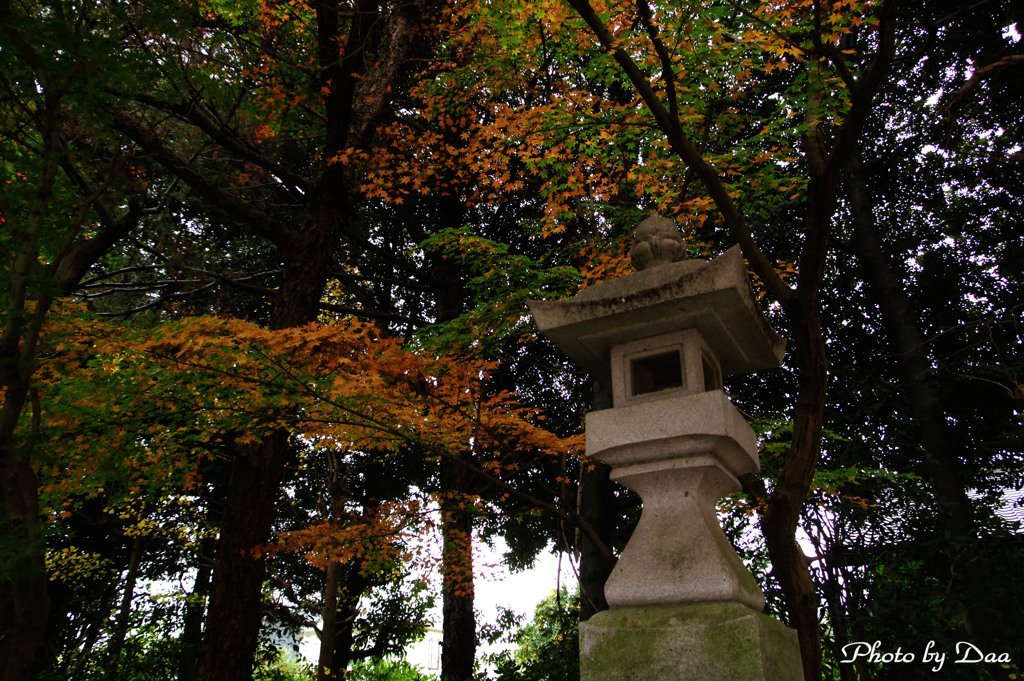 灯籠と紅葉
