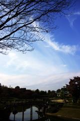 初冬の空