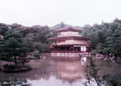 金閣寺