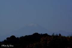 ウオッチングタワーから見えた富士山