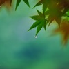 秋の準備の一雫