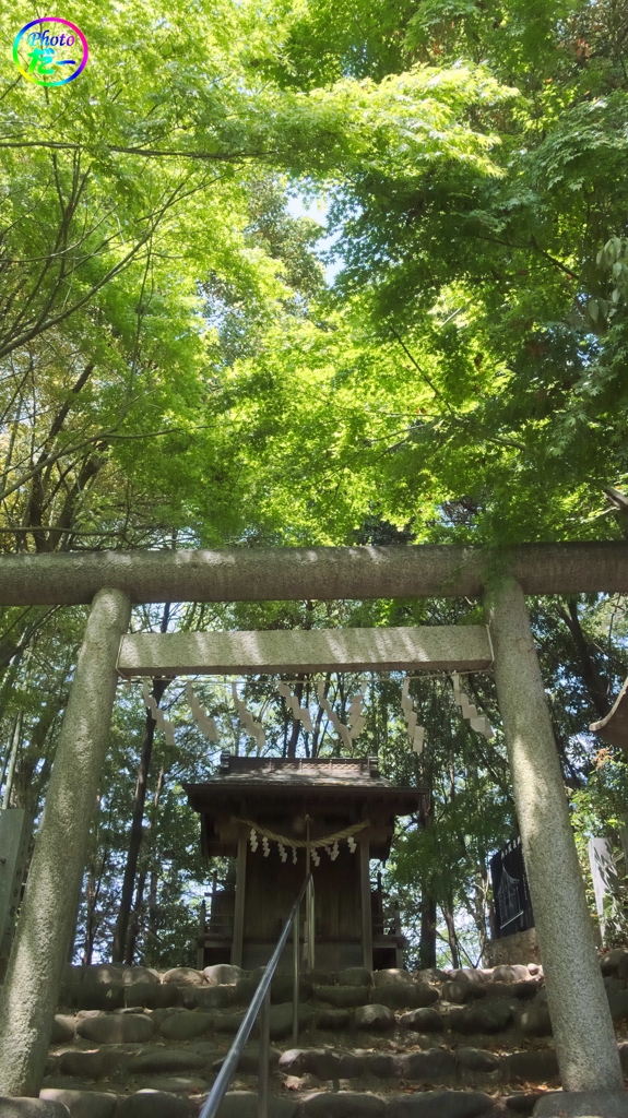 春日部八幡神社奥の院