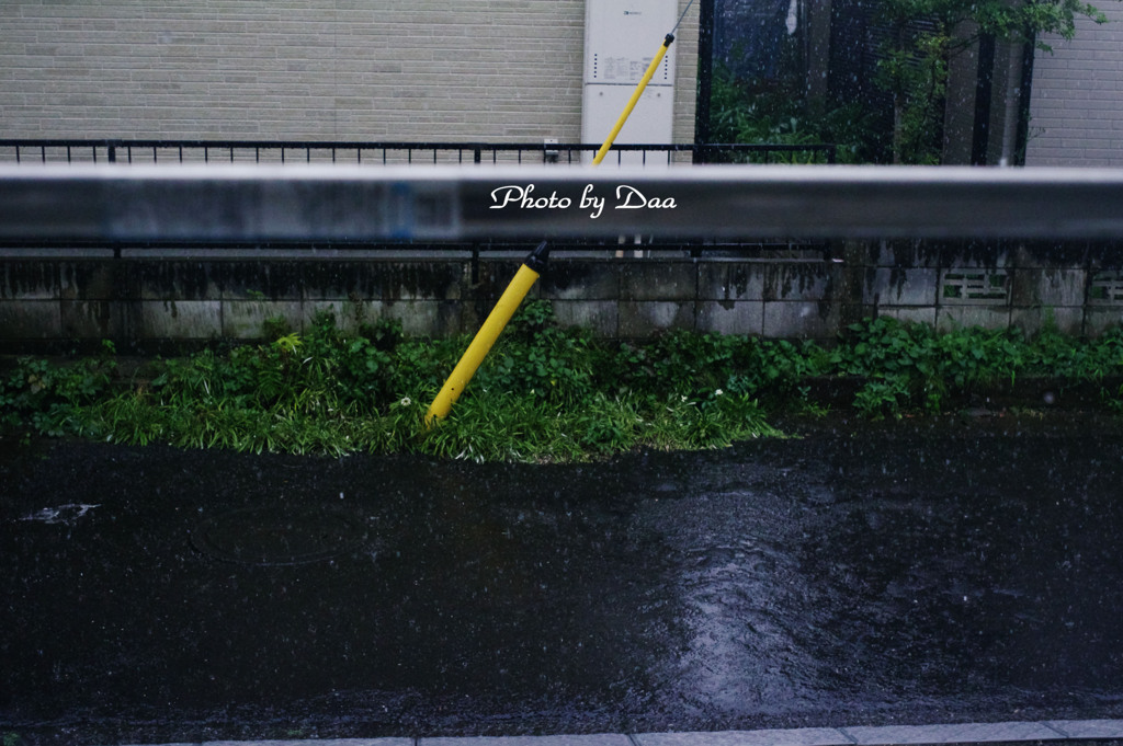 午後からの雨