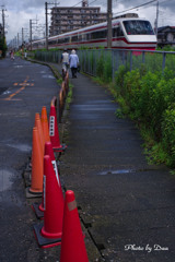 雨上がりのリョウモウ