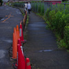 雨上がりのリョウモウ