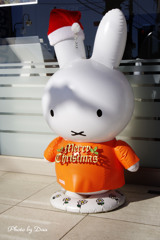 メリー・クリスマス