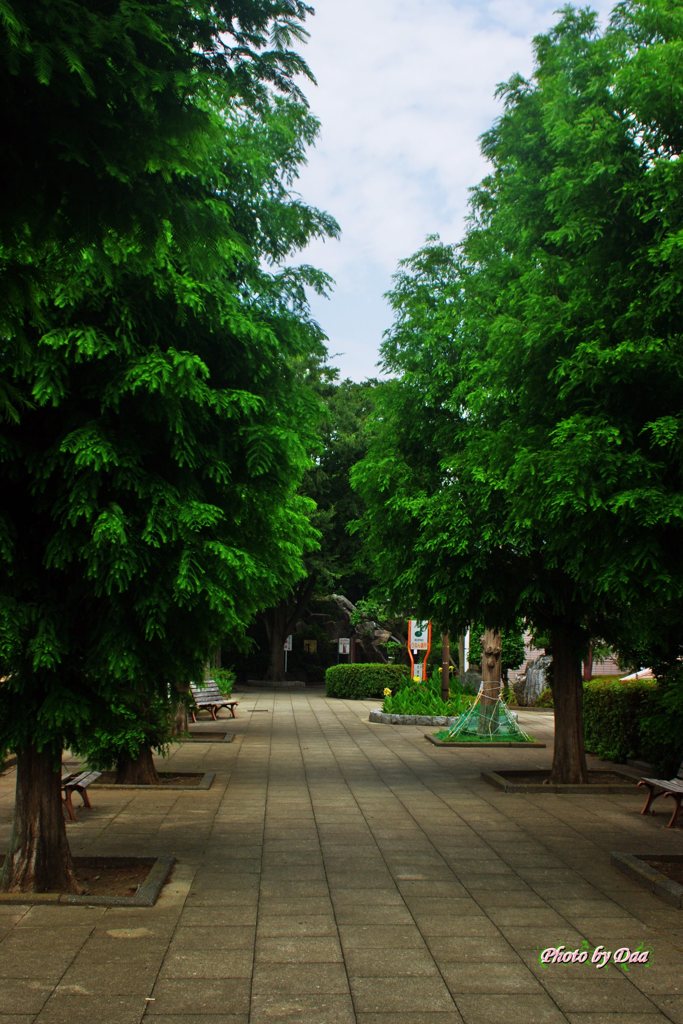 公園の入口