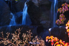 大池の人工滝