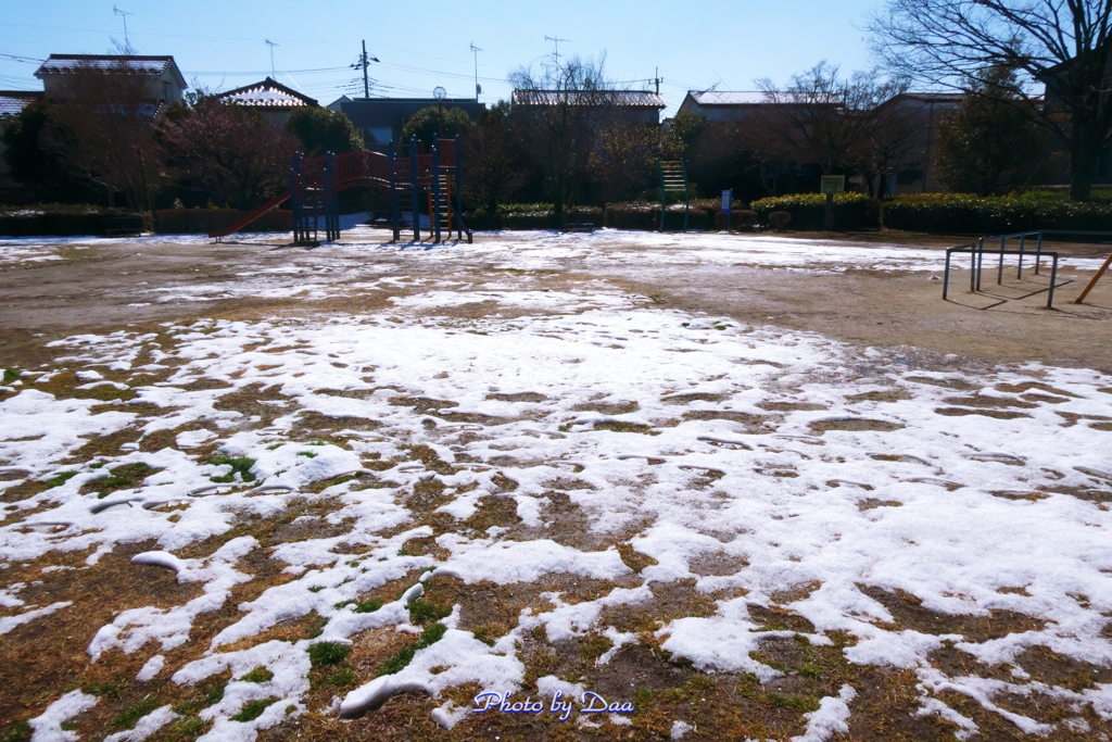 公園の残雪