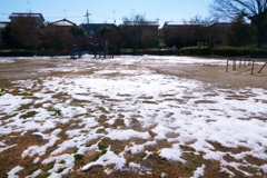 公園の残雪
