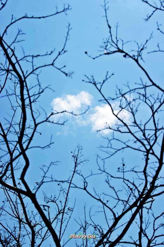 間雲