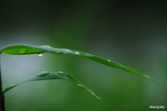 雨の日（その３）