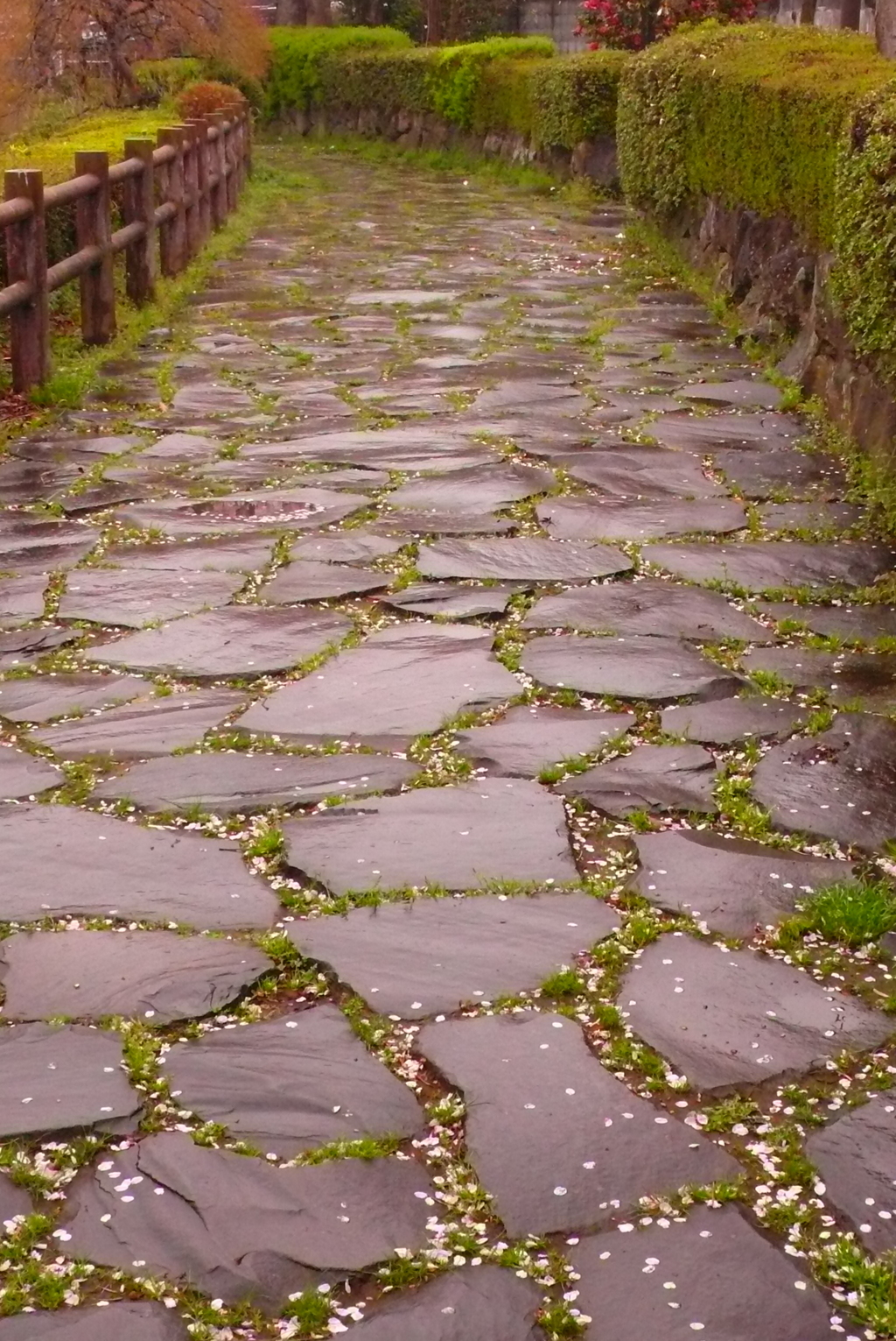 濡れる歩道