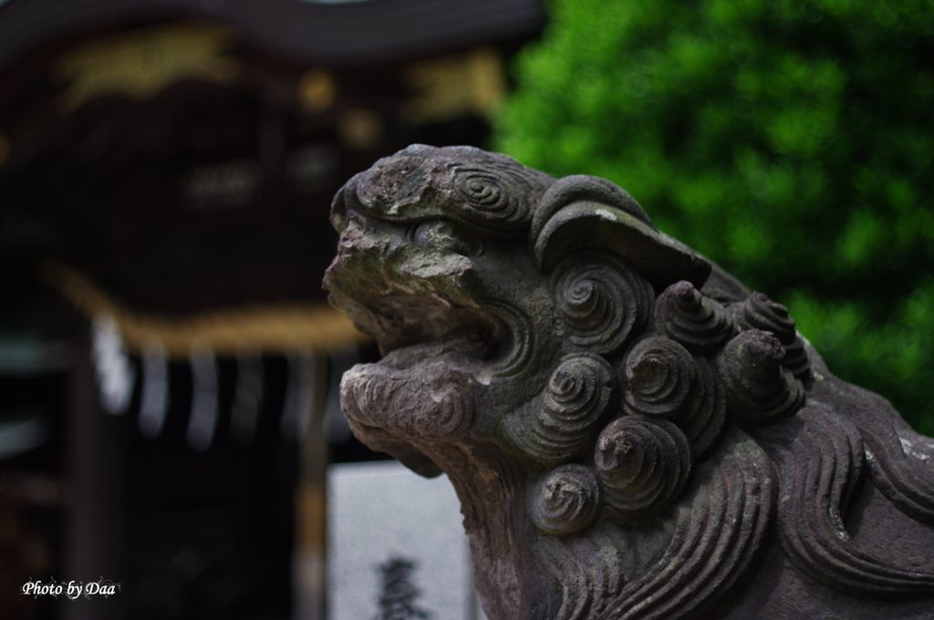 狛犬様（右）