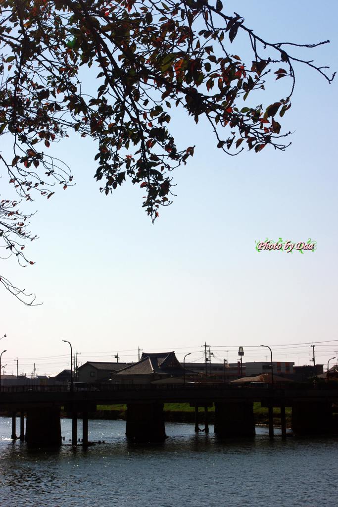 川の上のお寺向かいは・・・