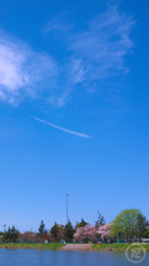 飛行機雲