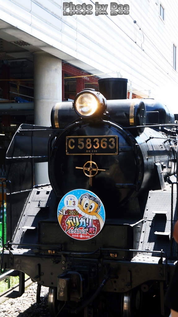 秩父鉄道パレオエクスプレス＋ガリガリ君