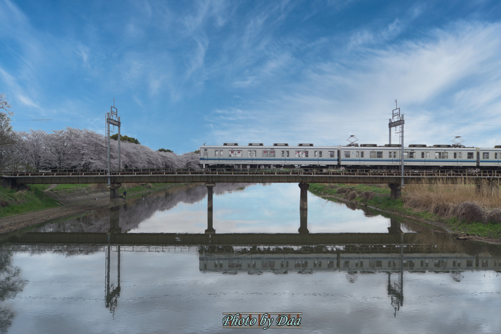 桜と8000