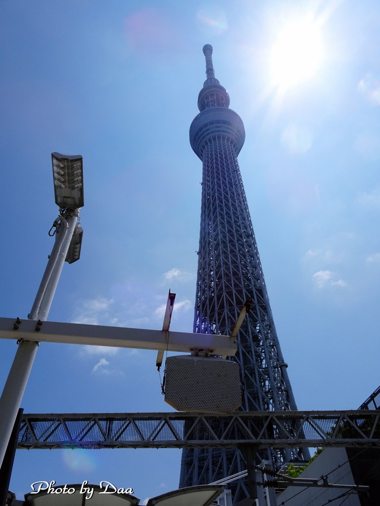 逆光の