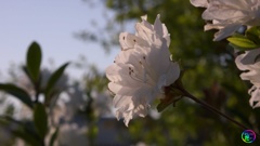 今日は暑かったの