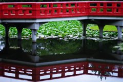 水面に映る赤い橋