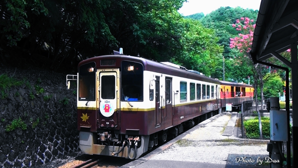 わっしー号