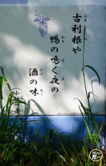 なんか響いた
