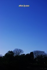 今日のお天気