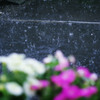 雨