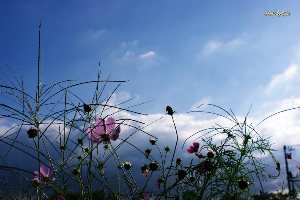 雨上がりの空