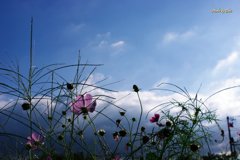 雨上がりの空