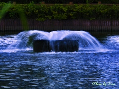 大池の噴水