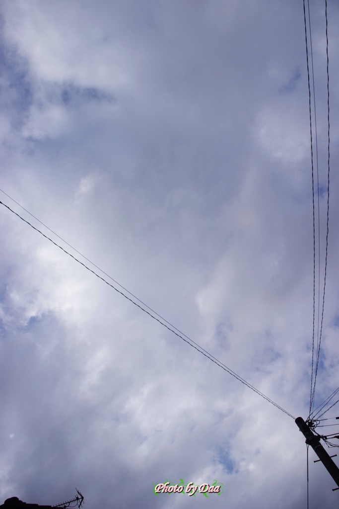 今日のお天気