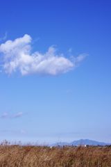 荒野