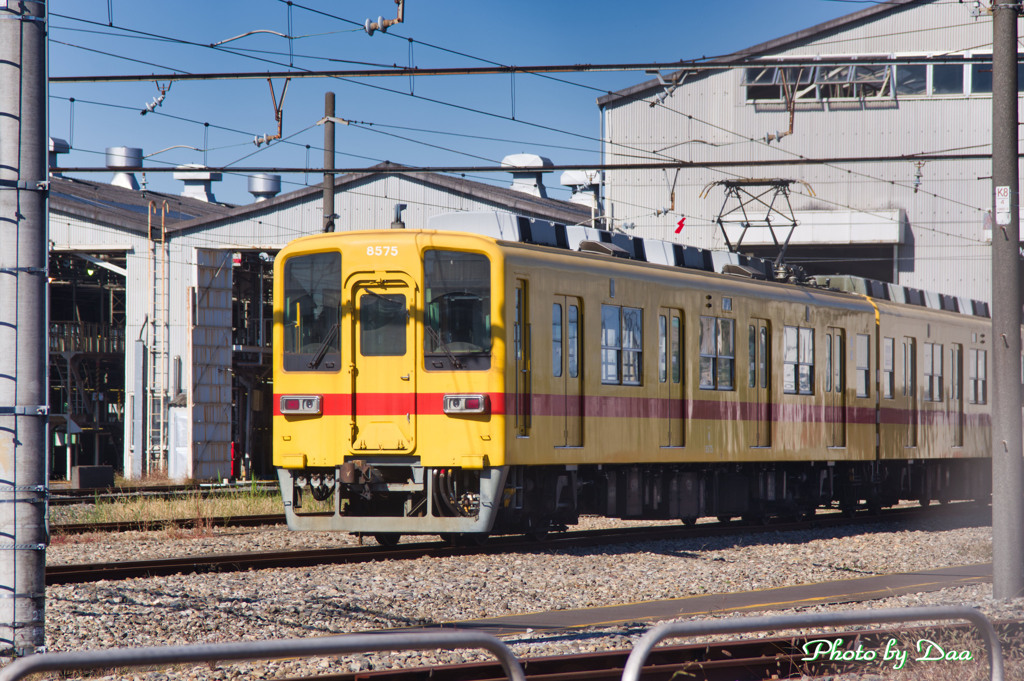 黄色い電車