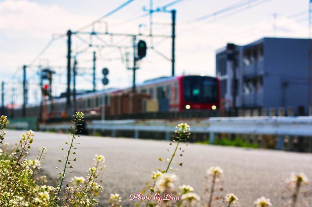 ナズナと電車 Ⅱ